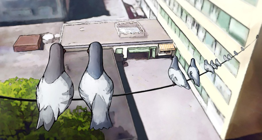 pigeonsa14